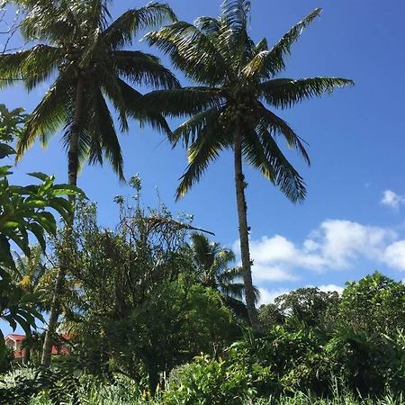 Logement En Pleine Verdure Tropicale -10 Min Plage Le Morne-Rouge Exterior foto