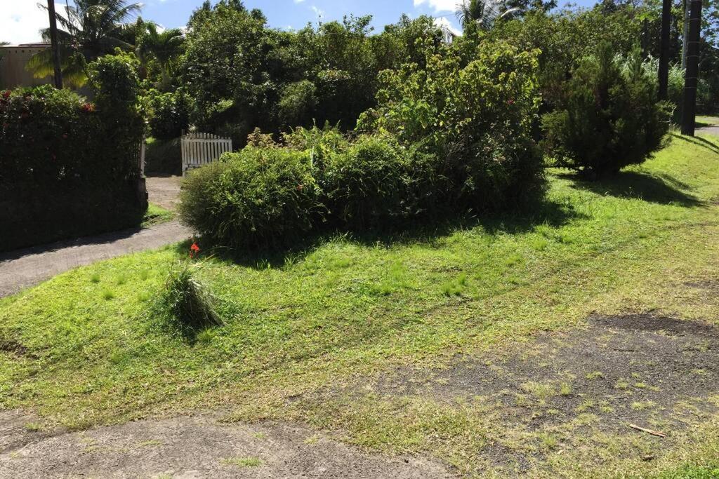 Logement En Pleine Verdure Tropicale -10 Min Plage Le Morne-Rouge Exterior foto